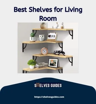Best-Shelves-for-Living-Room-1