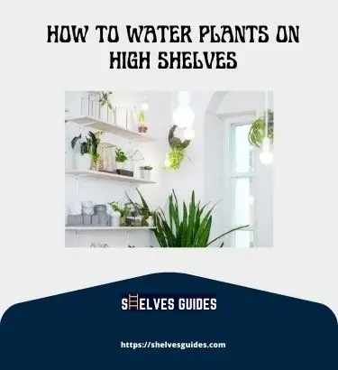 How-To-Water-Plants-On-High-Shelves